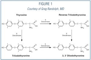 THYROID-SURGERY-1